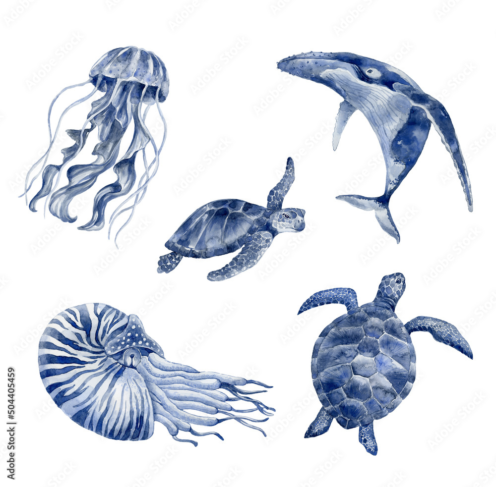 Set of sea animals. Underwater world. - obrazy, fototapety, plakaty 