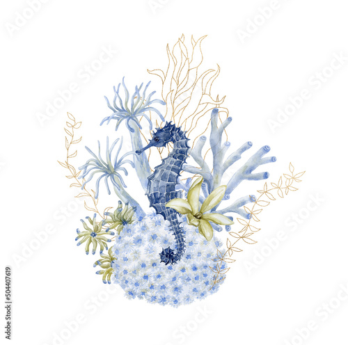 Seahorse with sea anemone and coral.