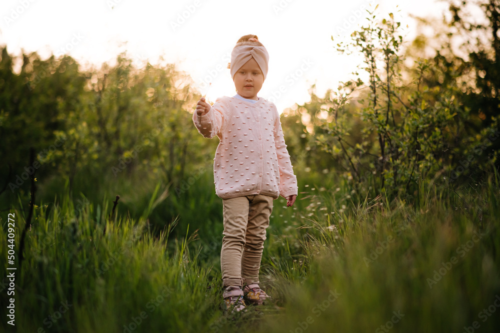 Little girl have fun in a hight green grass in the sunset