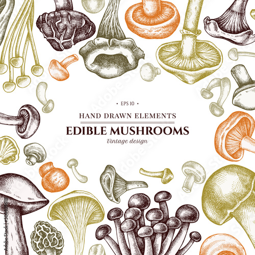 Design with pastel colored oyster mushroom, champignon, honey agaric, etc.