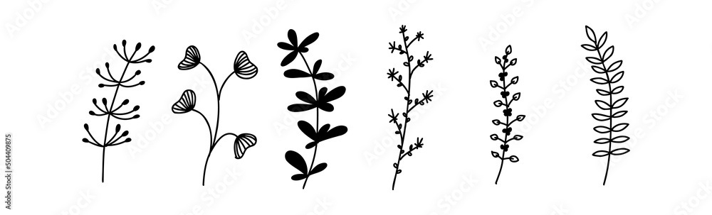 Doodle flower sketch. Floral elements. Vector spring drawing. Doodle flower sketch. Floral elements. Vector spring drawing.