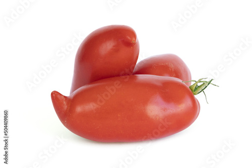 Tomates andine cornue	 photo