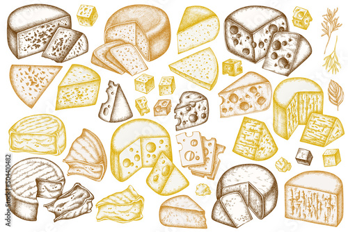Cheese hand drawn vector illustrations collection. Stylized brie, gouda cheese, roquefort, etc.