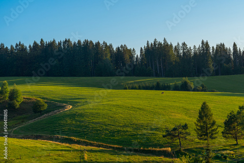 view to the valley and hill of countryside in Horehronie, Slovakia, Europe, rural concept, sunset light © fotomolka
