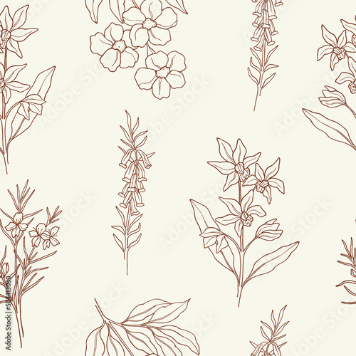 Obraz na płótnie Hand drawn Australian flowers and plants seamless pattern