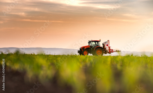 Foto Tractor spraying corn field in sunset
