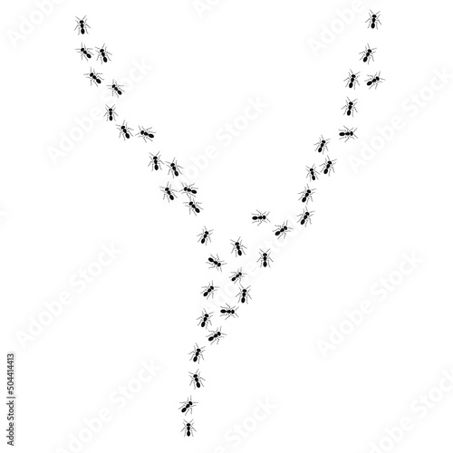 A path of ants running  two ways. View from above. Vector illustration in flat cartoon style