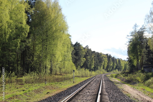 railway in the forest in sunny spring day with young green leaves and grass