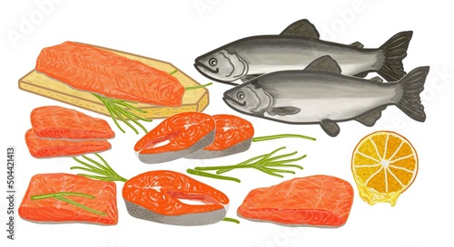 Red fish, carcasses, pieces, slicing, color illustration on a white background