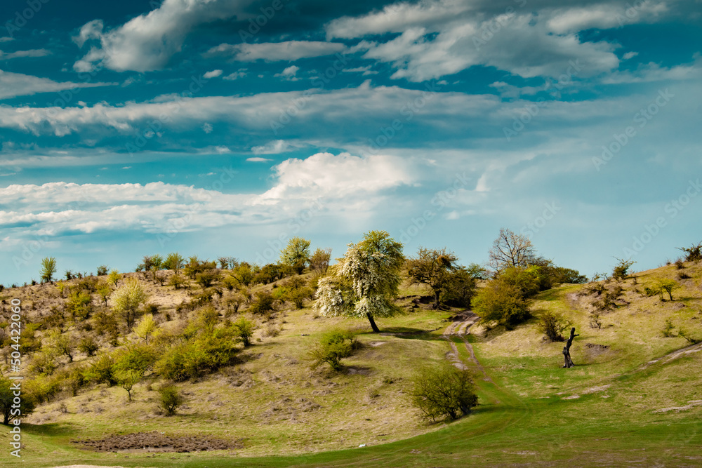 Naklejka premium Spring clear day landscape in the hills