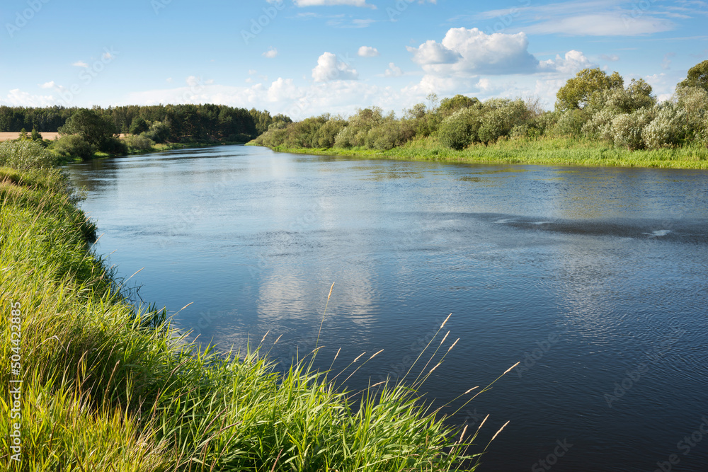 The nature of Belarus - a calm summer landscape on the banks of the Berezina River The nature of Belarus - a calm summer landscape on the banks of the Berezina River