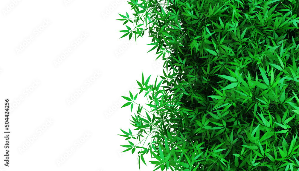 Cannabis Texture Marijuana Leaf Pile on white Background. Cannabis Texture Marijuana Leaf Pile on white Background.