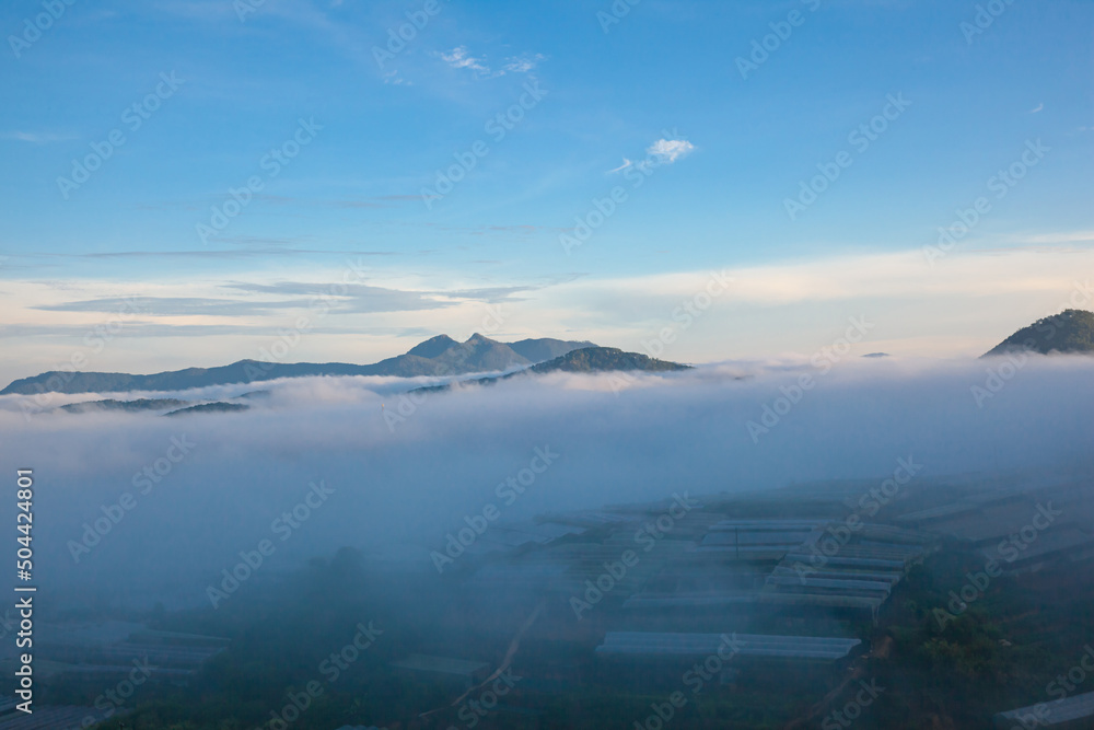 Town covered in the sea of clouds in the early morning