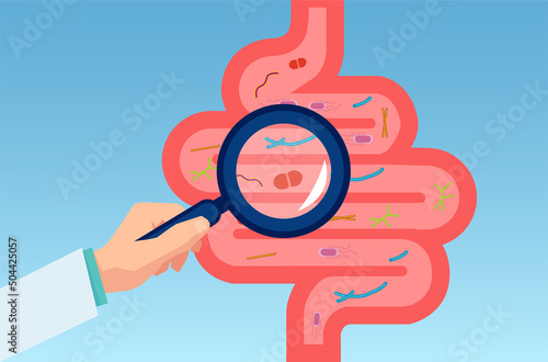 Vector of doctor examining gastrointestinal tract, bowel, digestive system photo