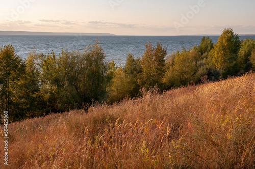 View of the lake from the high shore. Trees and shrubs grow around it. The contour light of the sunset penetrates through their leaves