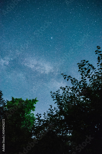 Fototapeta Naklejka Na Ścianę i Meble -  Night starry sky summer outdoors in Ukraine.