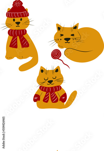 set of cute winter cats, cute cats