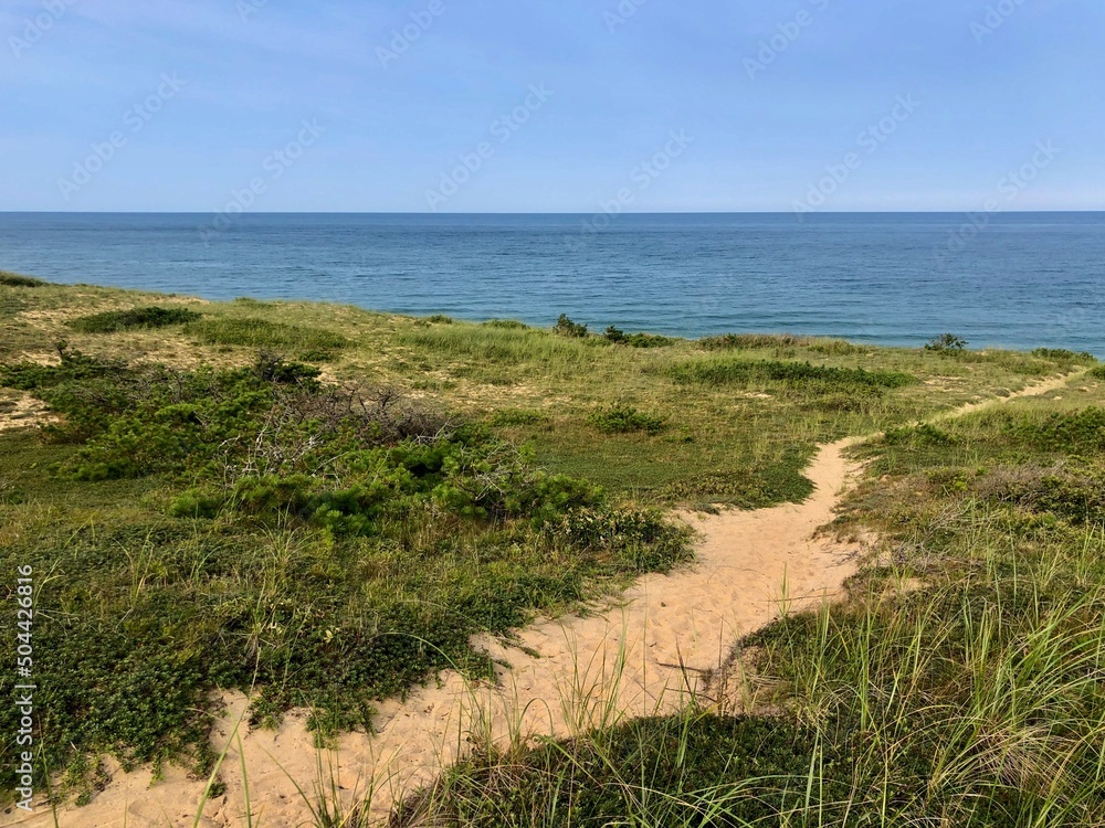 Path through the sand dunes leading to a beach on Cape Cod Path through the sand dunes leading to a beach on Cape Cod