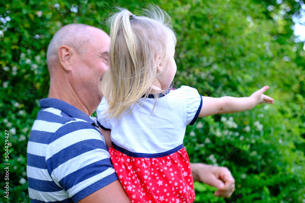 Fototapeta premium close-up of small child, 2-year-old blonde girl in red dress, old man, grandfather and granddaughter, concept of childhood, family relationships of generations, walk in summer in nature