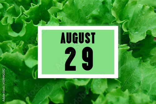 calendar date oncalendar date on the background of green lettuce leaves. August 29 is the twenty-ninth day of the month photo