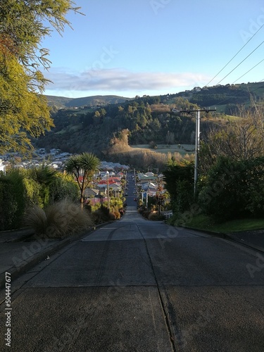 Baldwin street - die steilste Straße der Welt photo