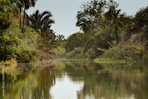 View of Gambia River in the Gambia in Janjabureh Provice in the Gmabia.