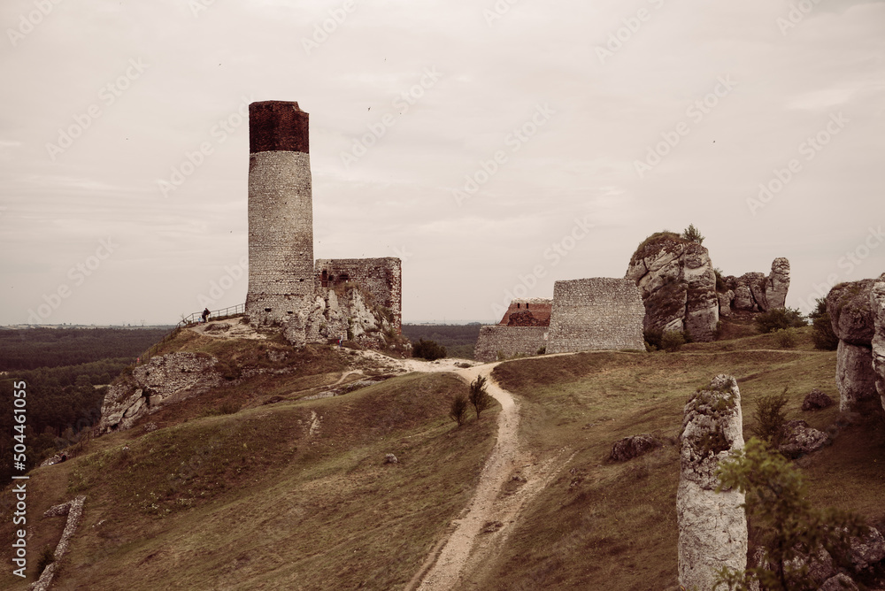 Polskie zamki, ruiny, mury obronne - obrazy, fototapety, plakaty 