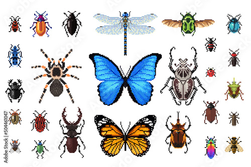 Set of insects in pixel art style, isolated on a white background