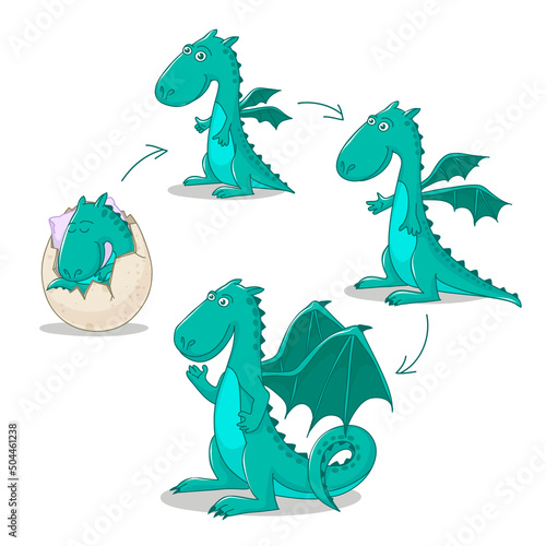 stages of growing up of a cute dragon on a white background