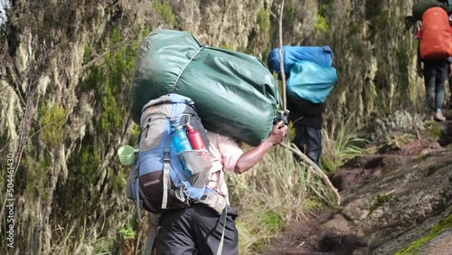 Close-up of a porter carrying the heavy equipment of Afro-Alpine moorlands. Porters carry trunks to Shira High Camp.  photo