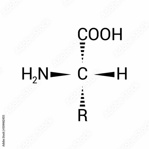 the general structure of an amino acid