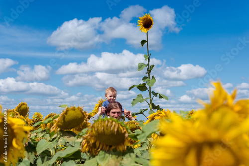 Father and son in sunflower field  photo