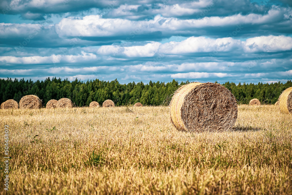 a field with straw bales