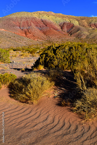 Rippled sand and colorful geologic layers on the Cuesta de Lipán mountain pass, between the Salinas Grande and Purmamarca village in the Quebrada de Humahuaca, Jujuy province, northwest Argentina