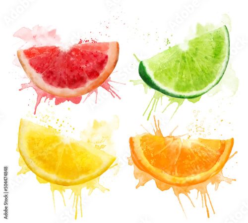 Watercolor fresh summer set of illustrations: grapefruit, lime, lemon and orange slices. Isolated illustrations on a white background, for postcards, patterns, and textiles.