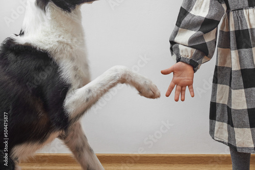 Close up of dog giving paw to little female child