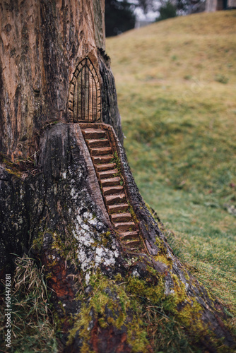 Fairy Door in Tree photo
