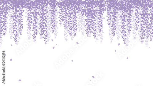 満開の藤の花が上から垂れ下がるイメージ背景