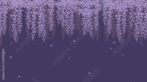 満開の藤の花が上から垂れ下がるイメージ背景（濃色）