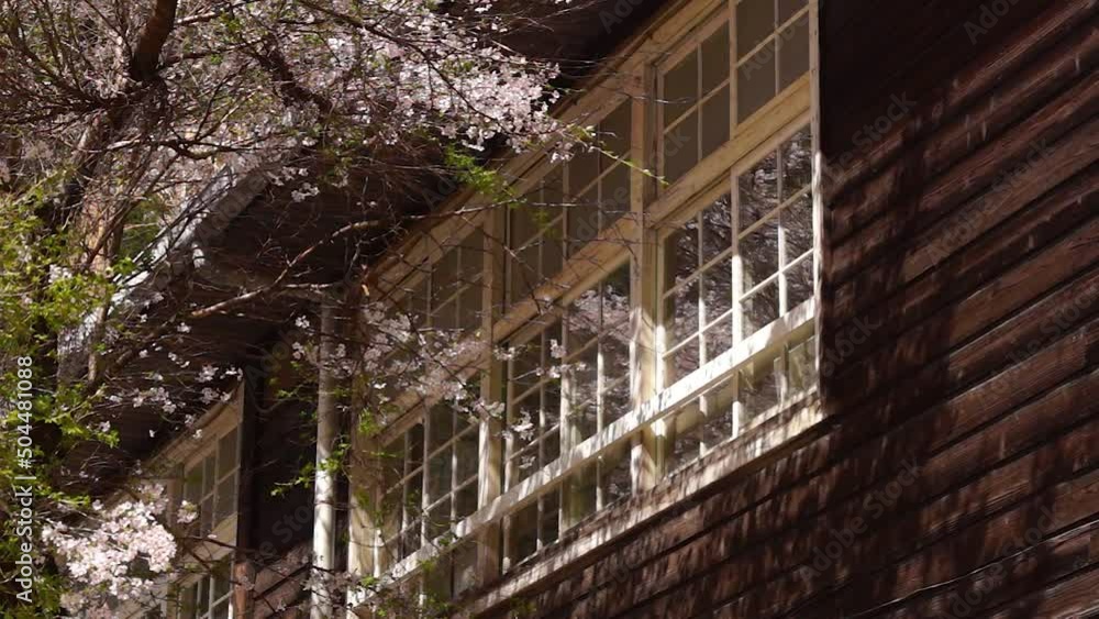 廃校になった木造校舎と風にゆれる桜 阿蘇 廃校になった木造校舎と風にゆれる桜 阿蘇