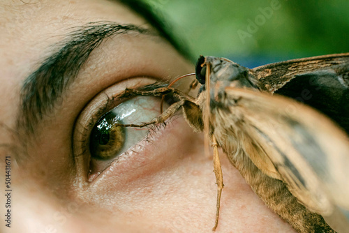 A moth interaction with a human photo