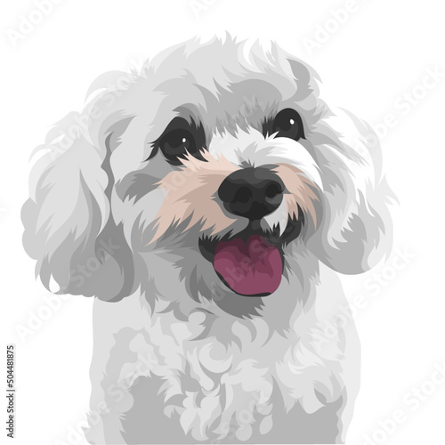 white terrier dog