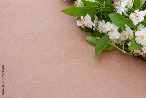 Crab apple blossoms on brown paper
