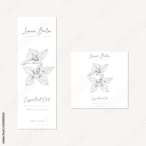 essential oil bottle design with hand drawn illustration of lemon balm leaves

