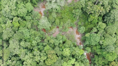 Aerial view of amazon basin rainforest in Peru/ Madre de dios / Manu National Park/ Tambopate photo
