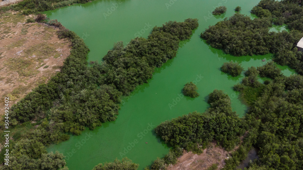 Aerial photos from a drone of a green lagoon surrounded by vegetation and bushes.