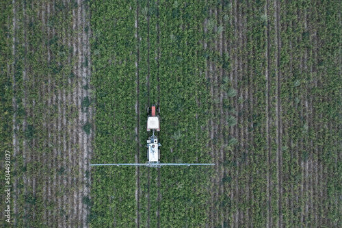 Tractor spraying filed photo