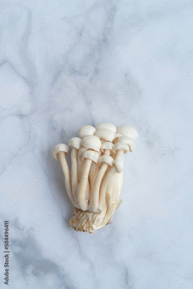 Shimeji mushroom for Made A Ramen Stock Photo Adobe Stock