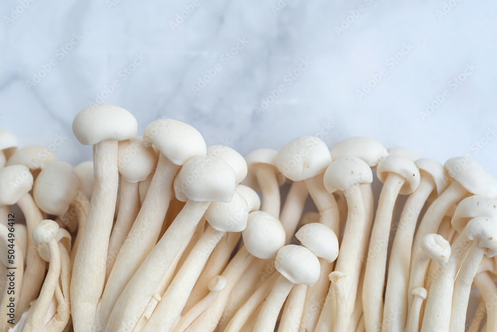 Bunch of fresh white mushrooms on table Bunch of fresh white mushrooms on table