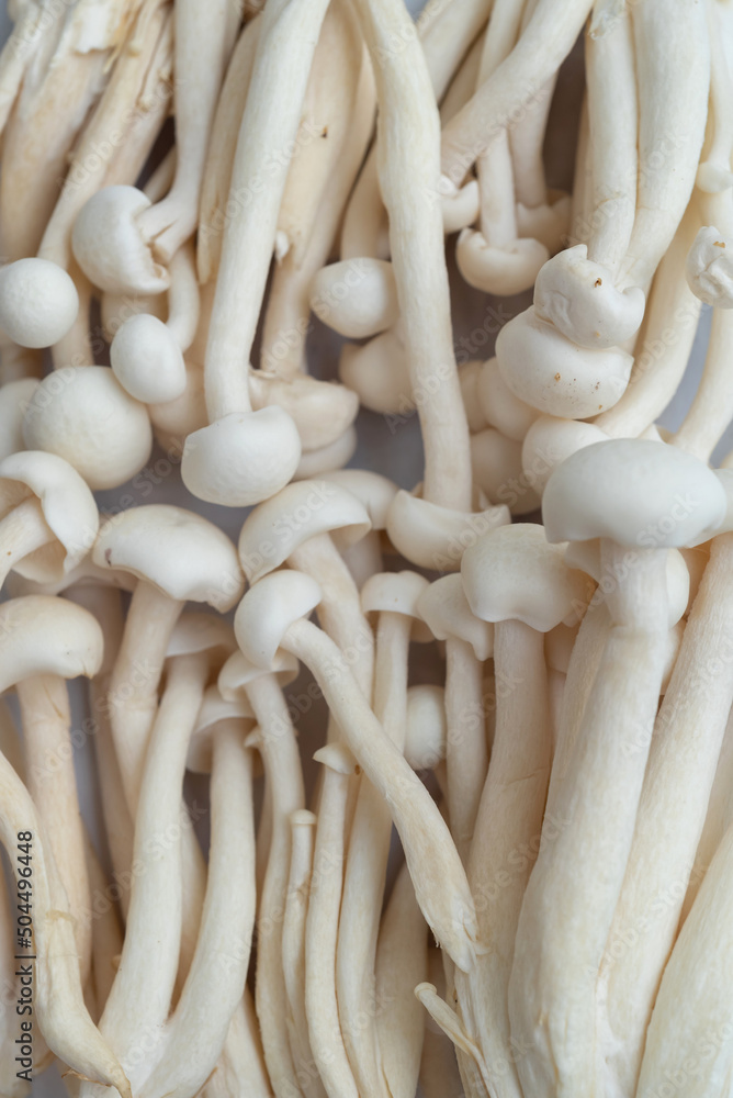Shimeji mushroom for Made A Ramen Stock Photo Adobe Stock